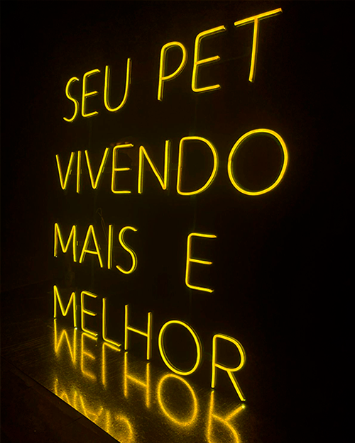 neon led